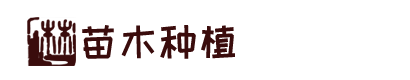 星空游戏(StarSky Sports)官方网站